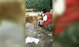 东北小王子被爆料视频大全,揭秘网络红人背后的故事